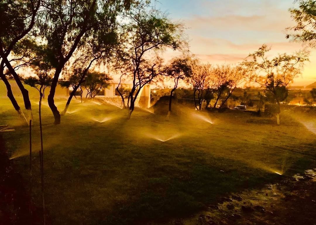 Jardín con sistema de riego RIFE